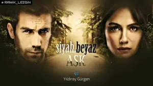 Siyah Beyaz Aşk Müzikleri Hüzün Acı V3 Albüm Kapağı