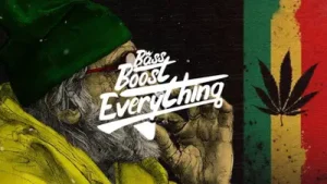 Snoop Dogg Smoke Weed Everyday Dubstep Remix Albüm Kapağı