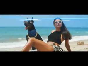 Snoop Dogg Toss It Albüm Kapağı