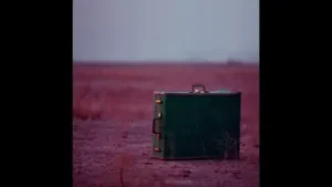 Soft Analog Biz Gibiler Albüm Kapağı