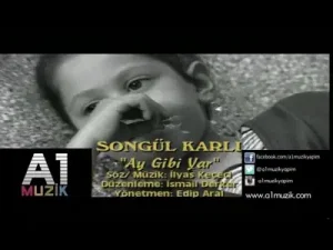 Songül Karlı Ay Gibi Yar Albüm Kapağı