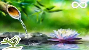 Soothing Relaxation Relaxing Piano Music Water Sounds For Sleep Meditation Spa Yoga Albüm Kapağı