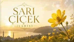 Sordum Sarı Çiçeğe Albüm Kapağı