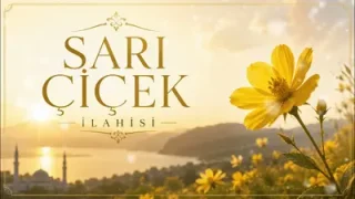 Sordum Sarı Çiçeğe