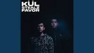 Stealz Favor Kul Albüm Kapağı