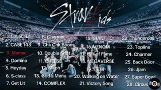 Stray Kids Playlist