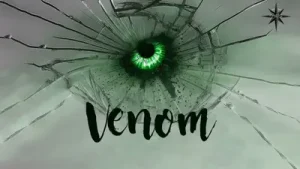 Stray Kids Venom Türkçe Çeviri Albüm Kapağı