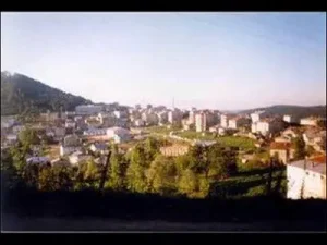 Şu Akkuşun Gürgenleri Albüm Kapağı