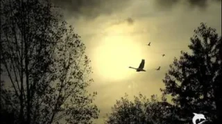 Suavi Ben Bir Sazdım