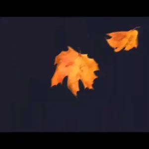 Süleyman Çapar Karamsar Ft Serhat Aydoğar Remix Albüm Kapağı