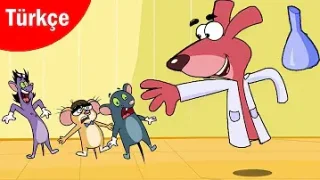 Ta Ta Ta Taaam Görünmez Domdom Ve Üç Fare Çocuklar İçin Komik Çizgifilmler Türkçe