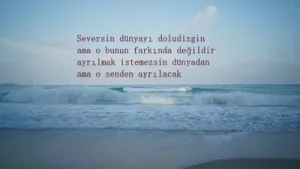 Tahir İle Zühre Nazım Hikmet Ran Albüm Kapağı