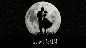 Tahir Şimşek O Gece Dolunaydıur Albüm Kapağı