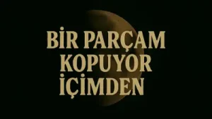 Taladro Bir Parçam Kopuyor İçimden Albüm Kapağı