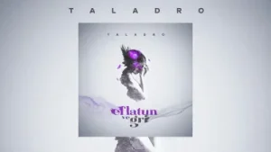 Taladro Eflatun ve Gri Albüm Kapağı