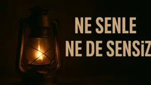 Taladro Ne Senle Ne De Sensiz Ft. Rashness Albüm Kapağı
