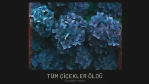 Taladro Rash Tüm Çiçekler Öldü Albüm Kapağı