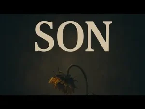 Taladro Son Ft. Rashness Albüm Kapağı
