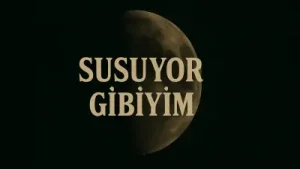 Taladro Susuyor Gibiyim Albüm Kapağı