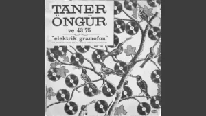 Taner Öngür Güzel Kadın Valsi Albüm Kapağı