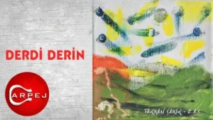 Tarkan Çakır Derdi Derin