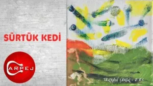 Tarkan Çakır Sürtük Kedi Albüm Kapağı