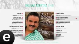 Taşa Koydum Kınayı Bülent Serttaş Albüm Kapağı
