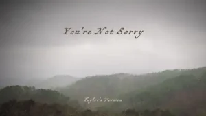 Taylor Swift You’re Not Sorry Albüm Kapağı