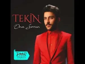 Tekin Ona Sorun Albüm Kapağı