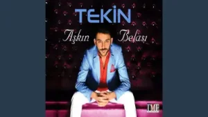 Tekin Sana Ben Bu Seven Gönlümü Verdim