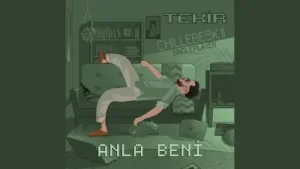 Tekir Anla Beni Albüm Kapağı