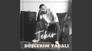 Tekir Düşlerim Yaralı Albüm Kapağı