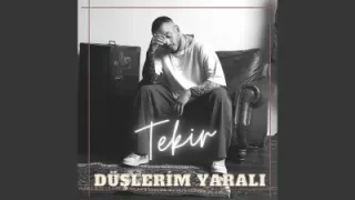 Tekir Düşlerim Yaralı