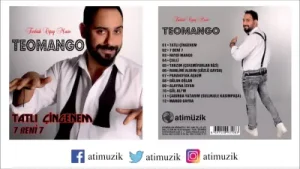 Teomango Çekemiyorlar Bizi Albüm Kapağı