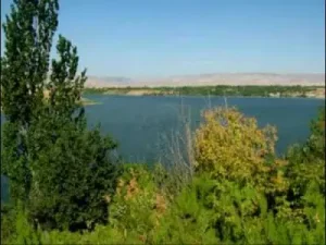 Teslim Budak Malatya Eline Albüm Kapağı