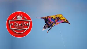 Tezcan Özkaya Uçurtma