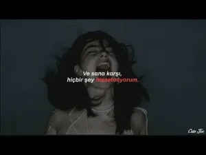 The Plot In You Feel Nothing Türkçe Çeviri Albüm Kapağı