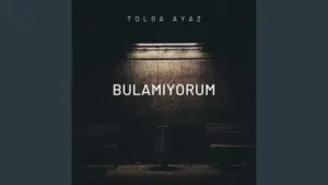 Tolga Ayaz Bulamıyorum Albüm Kapağı