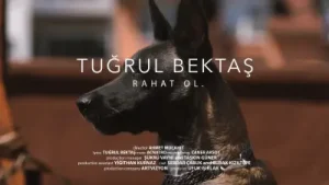 Tuğrul Bektaş Rahat Ol