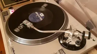 Tülay Özer İkimiz Bir Fidanın