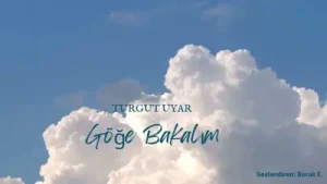 Turgut Uyar Göğe Bakma Durağı Albüm Kapağı