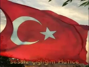 Türkiyem Canım Benim Albüm Kapağı