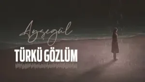 Türkü Gözlüm Albüm Kapağı