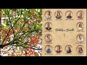 Türküleşen Besteler Ayağında Kundura Halis Yıldızhan Albüm Kapağı