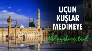 Uçun Kuşlar Medineye Albüm Kapağı