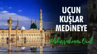 Uçun Kuşlar Medineye
