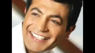 Uğur Böceğim Şarkısı