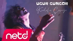 Uğur Güngör Kadife Çiçeği Albüm Kapağı