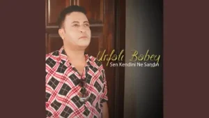 Urfalı Babey Sen Kendini Ne Sandın Albüm Kapağı