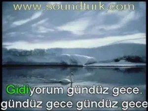 Uzun İnce Bir Yoldayım Fon Müziği Albüm Kapağı